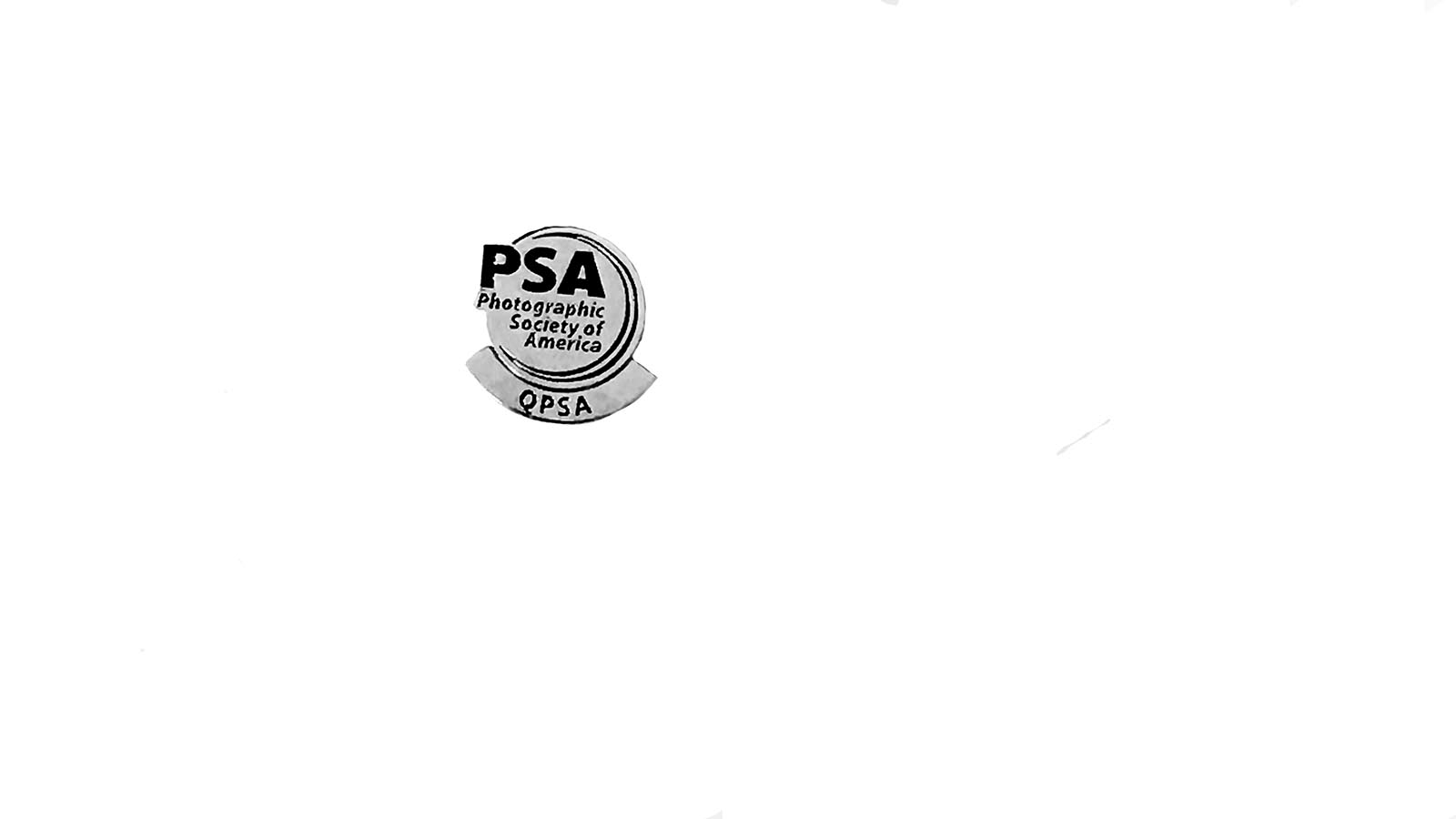 QPSA Distinction Pin