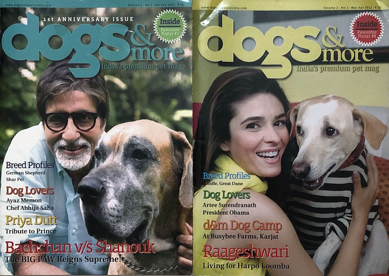 Magazine: dogs&more