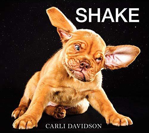 Shake By Carli Davidson