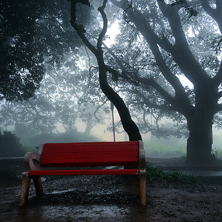 The Red Bench