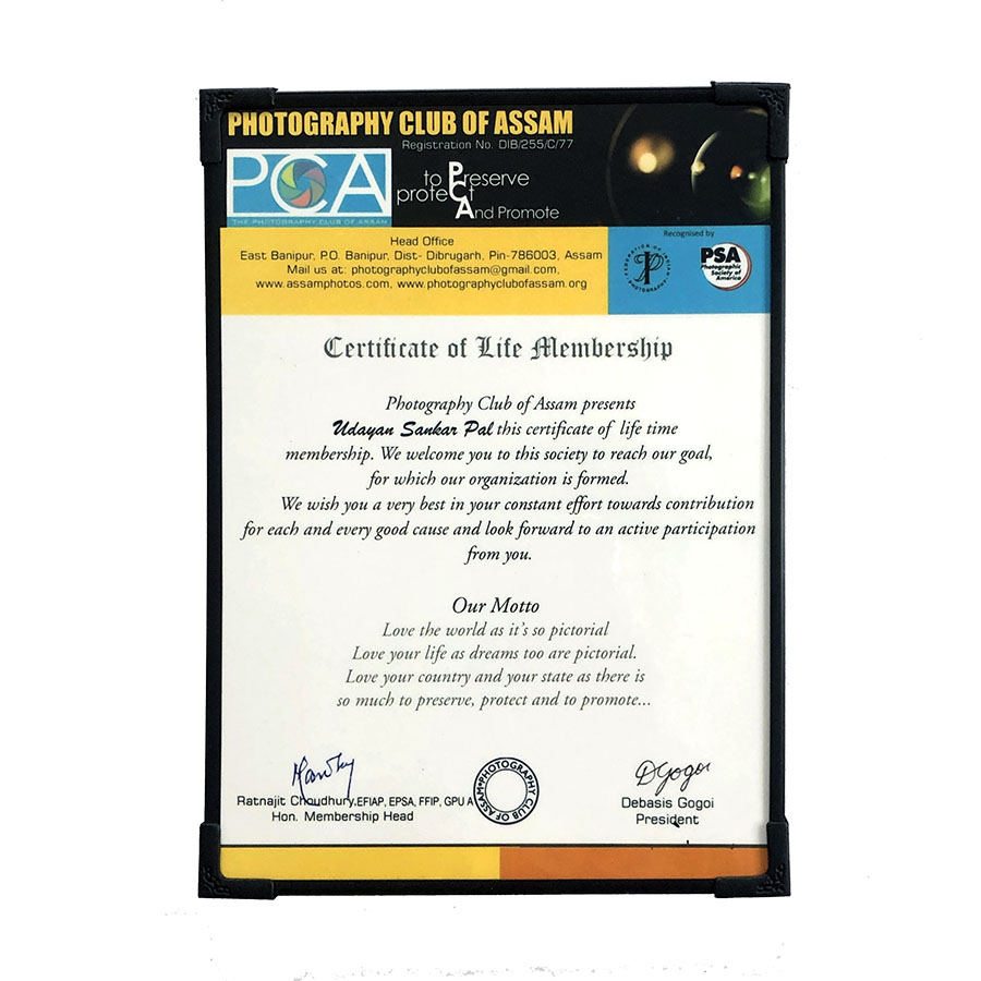 Framed Life Membership Certificate