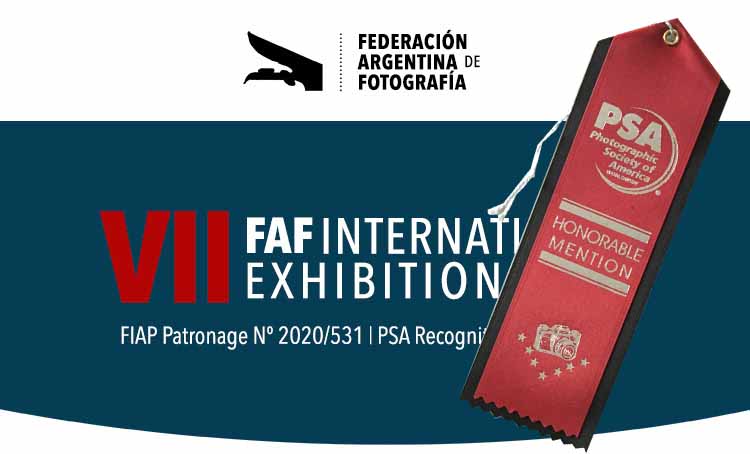 VII FAF International-2020*