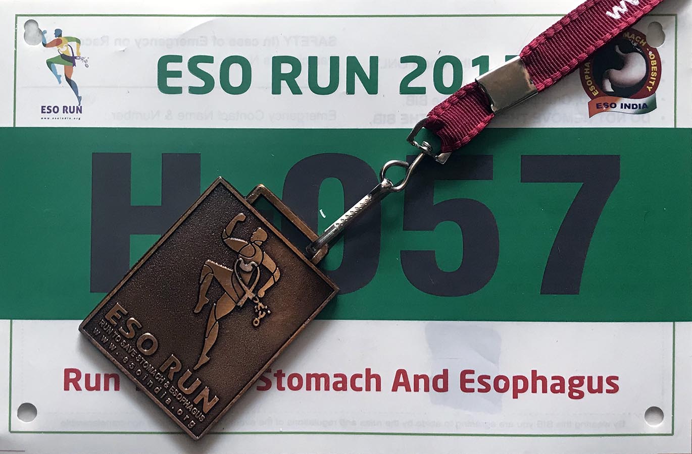 ESO Run 2017