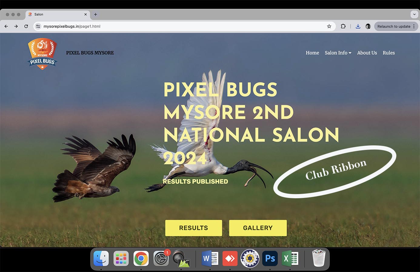 Pixel Bug Mysore National-2024