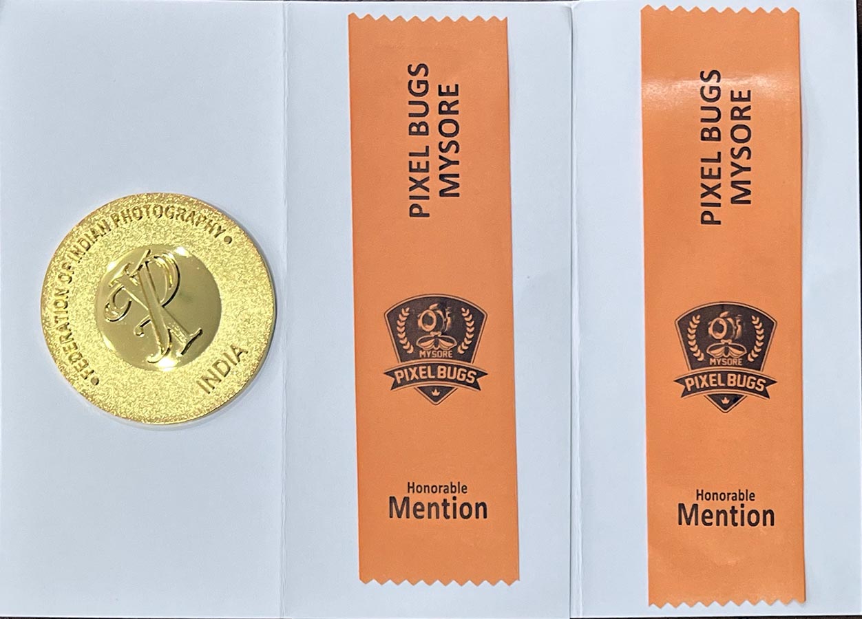 Pixel Bug Mysore National-2025