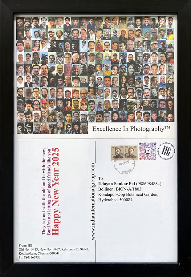 2025 IIG New Year Post Card Greetings