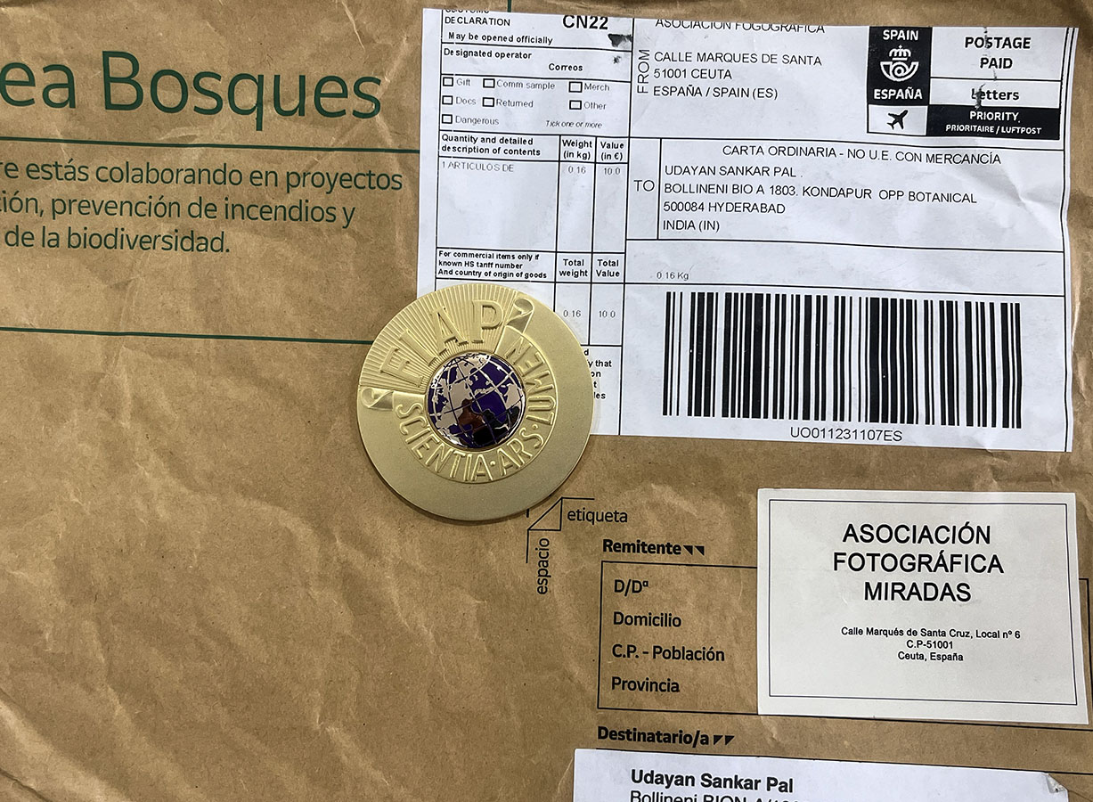 VII Trofeo Pepe Gutierrez-2025