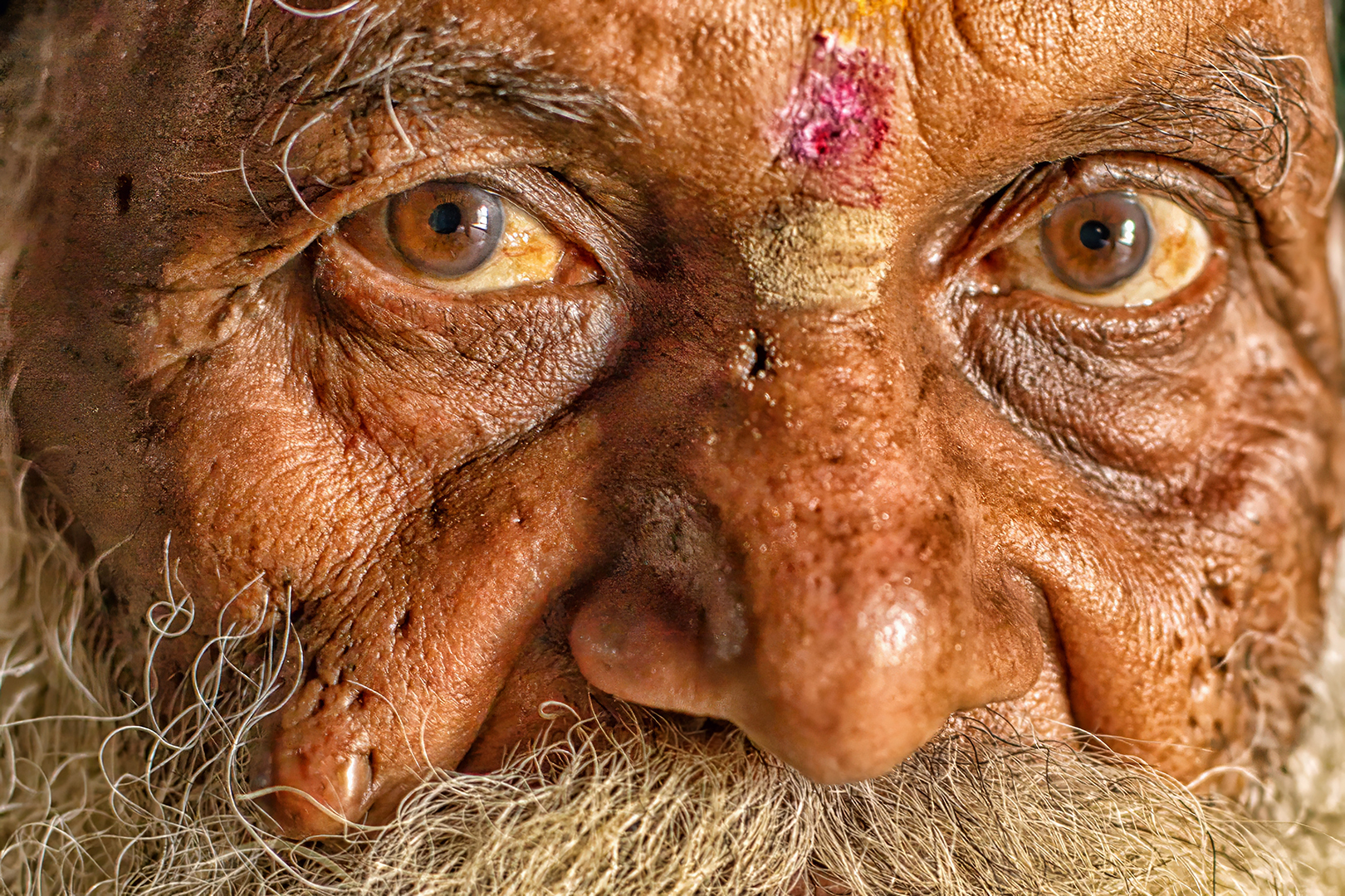 305 | Karnataka 2014