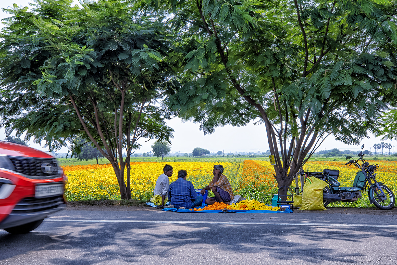 586 | Tamil Nadu 2024