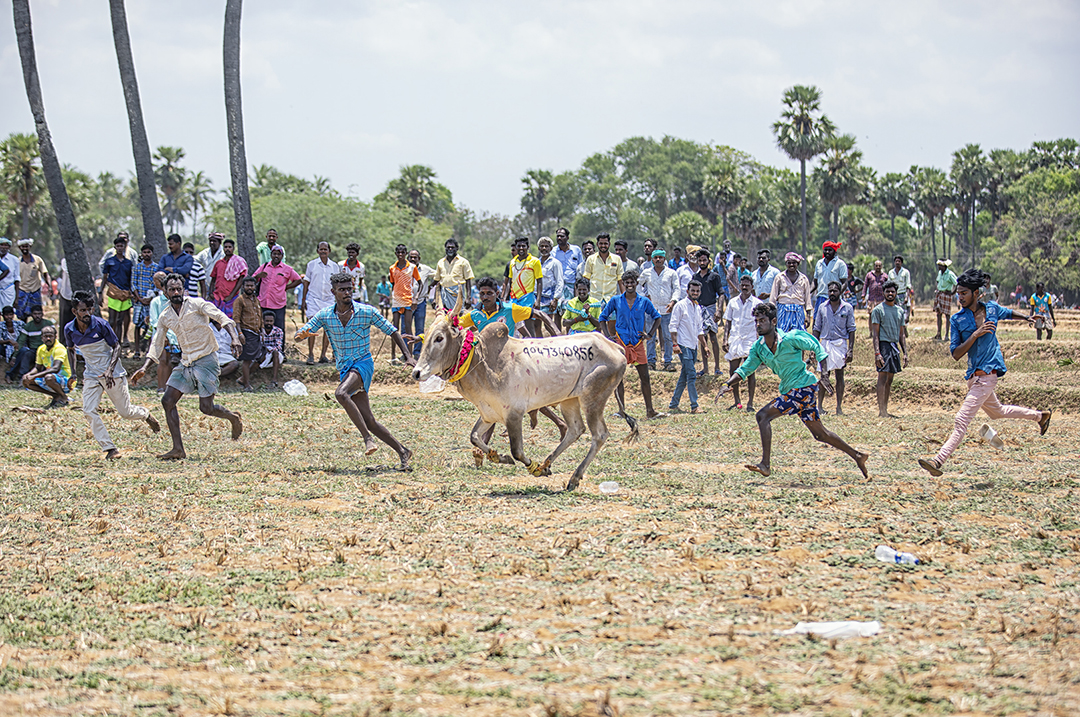 415 | Tamil Nadu 2022 | Manjuvirattu