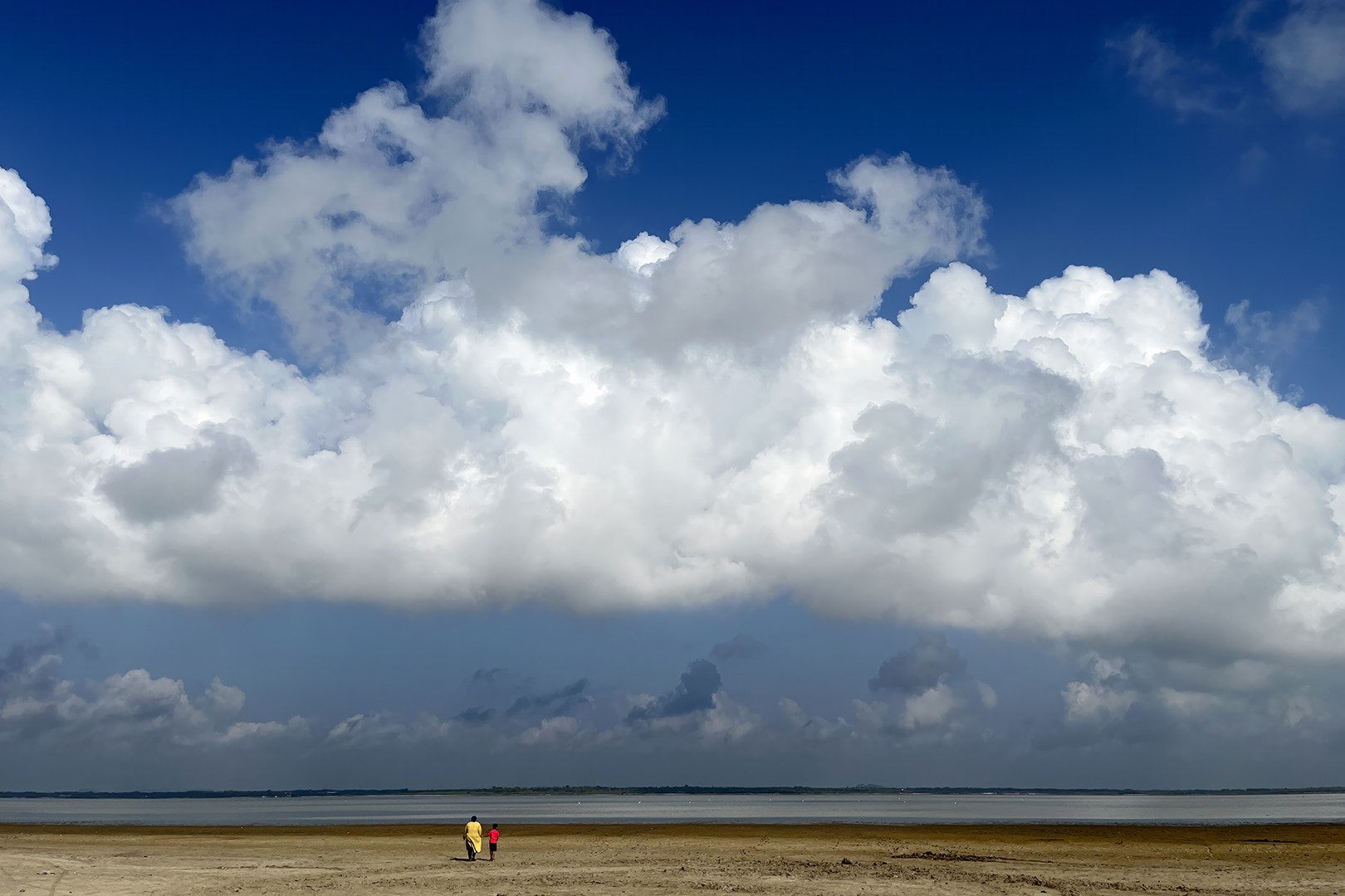 417 | Tamil Nadu 2022