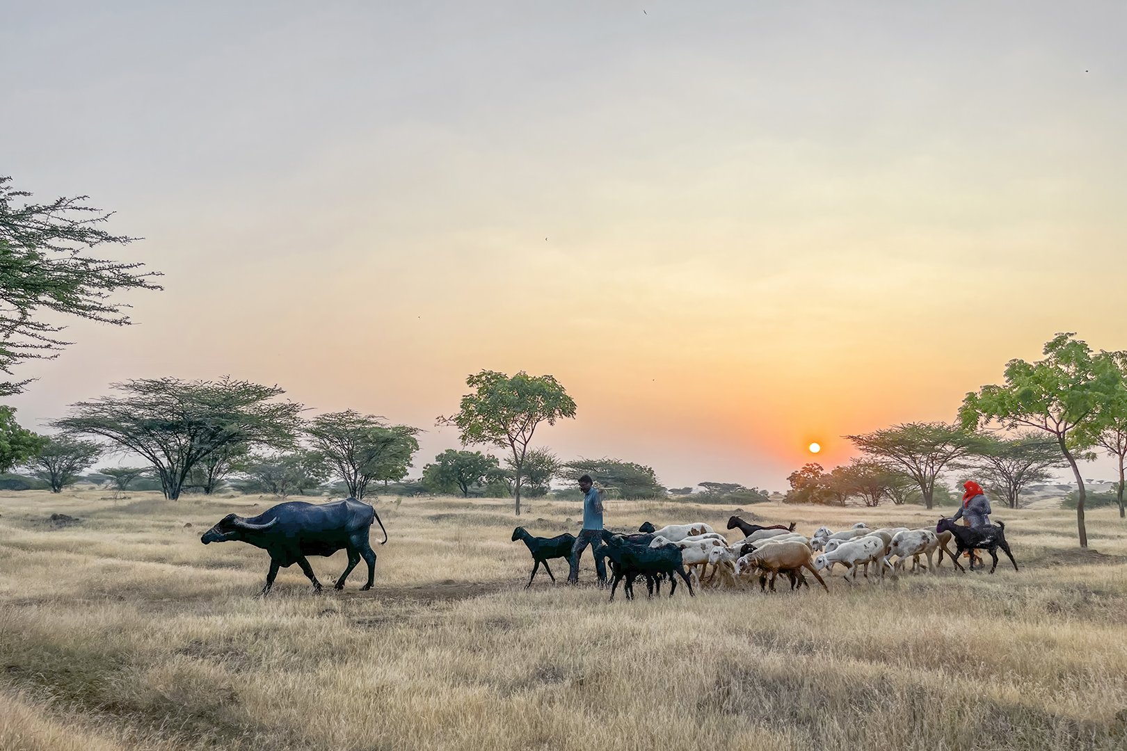 419 | Maharashtra 2022